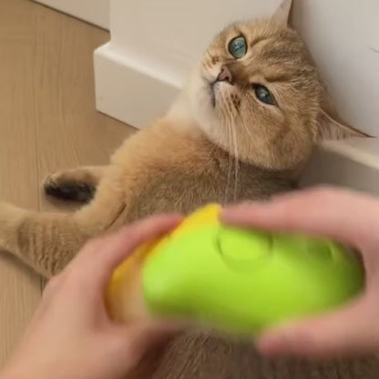 Cat grooming brush