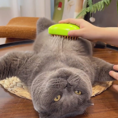 Cat grooming brush